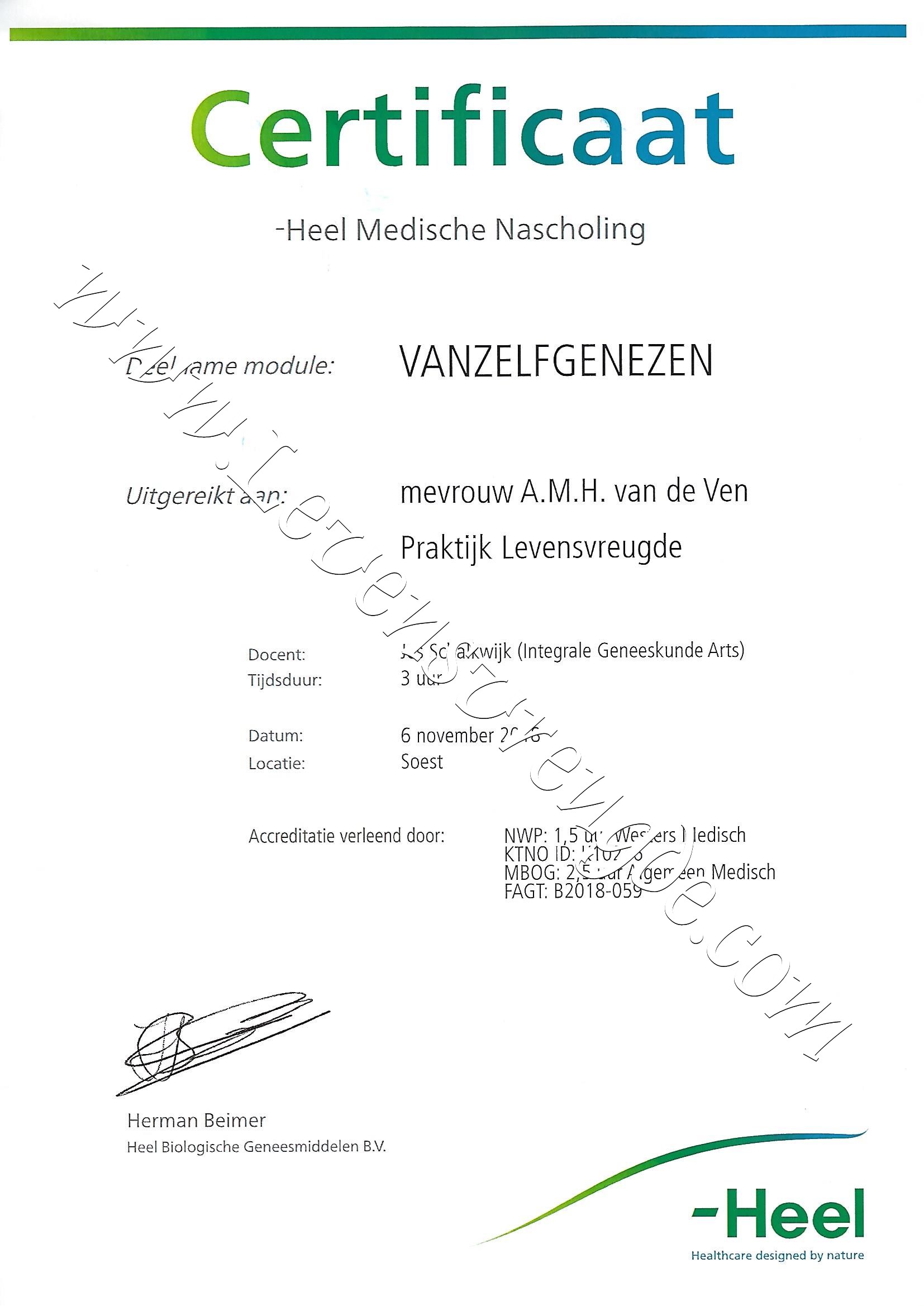 Vanzelfgenezen - Heel november